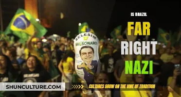 Brazil's Political Landscape: Far-Right Influences and Nazi Comparisons
