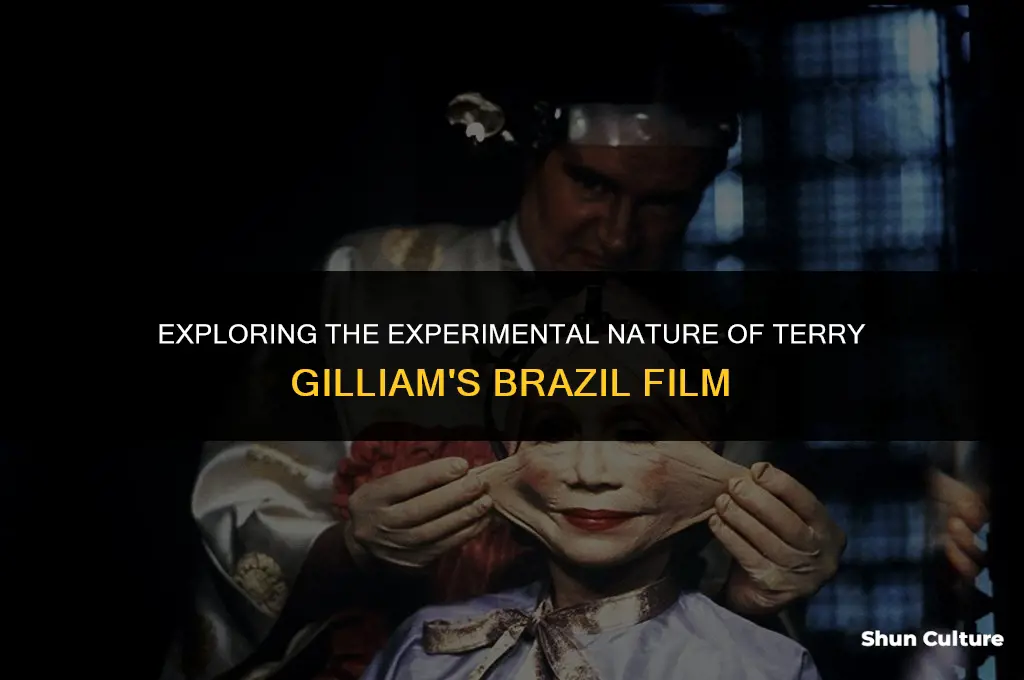 is brazil film terry gillam considered experimental