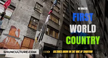 Is Brazil a First World Country? Exploring Its Global Standing