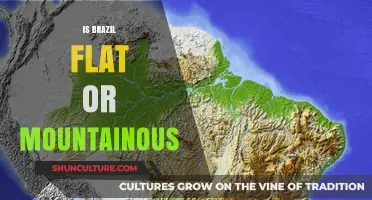 Exploring Brazil's Diverse Terrain: Flatlands to Mountain Peaks