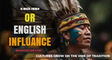 Exploring Brazil's Linguistic Roots: French or English Influence?