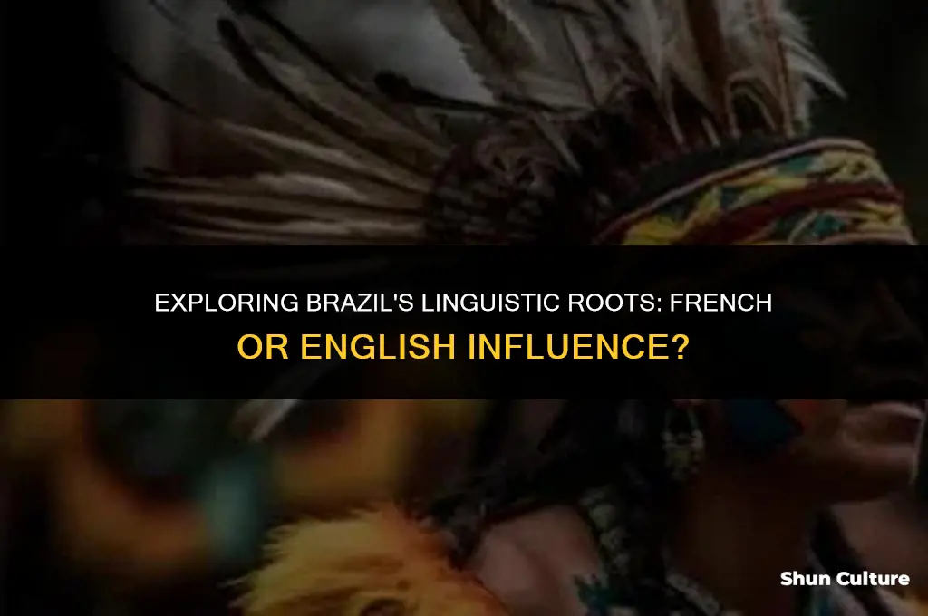 is brazil french or english influance