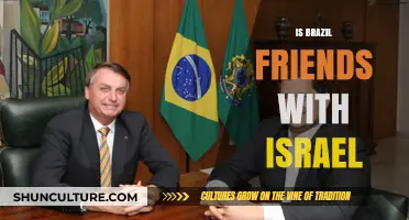 Brazil and Israel: A Complex Friendship in the Global Arena