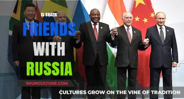 Brazil and Russia: A Complex Friendship Amidst Global Politics