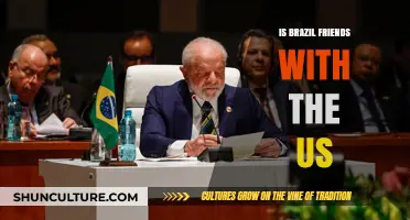 Brazil and the US: A Complex Friendship in the Americas