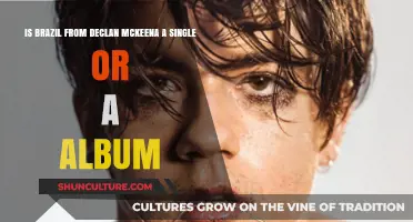 Exploring Declan McKenna's 'Brazil': Single or Album?