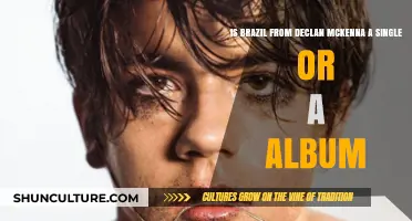 Exploring Declan McKenna's 'Brazil': Single or Album?