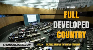 Is Brazil a Fully Developed Country? Exploring Its Economic and Social Progress