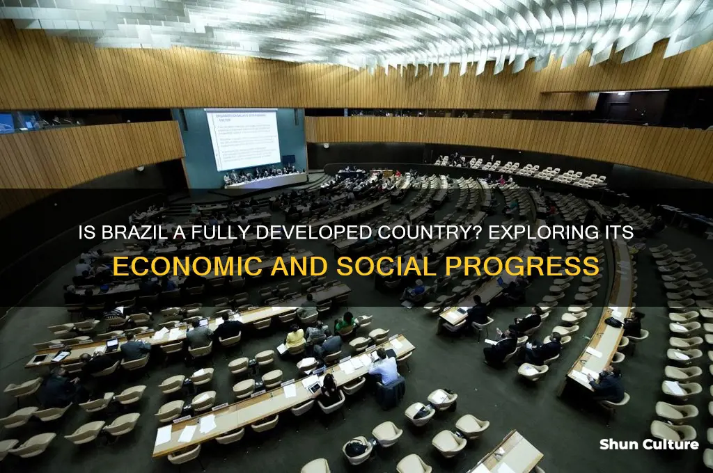 is brazil full developed country