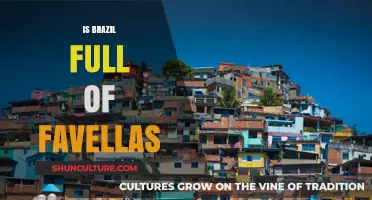 Exploring Brazil's Urban Landscape: The Reality of Favelas