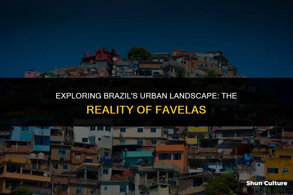 is brazil full of favellas