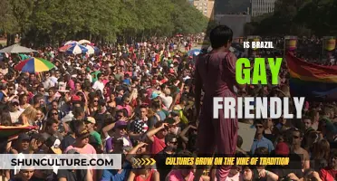Exploring LGBTQ+ Rights and Acceptance in Brazil: A Comprehensive Guide