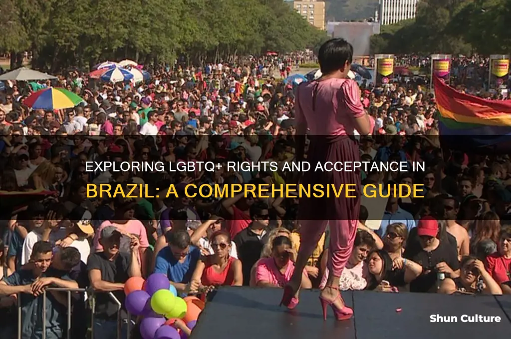 is brazil gay friendly
