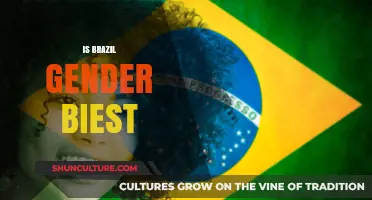 Exploring Gender Dynamics in Brazil: Myths and Realities Unveiled