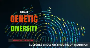Exploring the Rich Genetic Tapestry of Brazil's Population