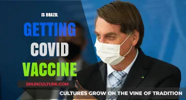 Brazil's COVID-19 Vaccination Progress: A Comprehensive Update