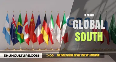 Brazil's Position in the Global South: A Complex Analysis