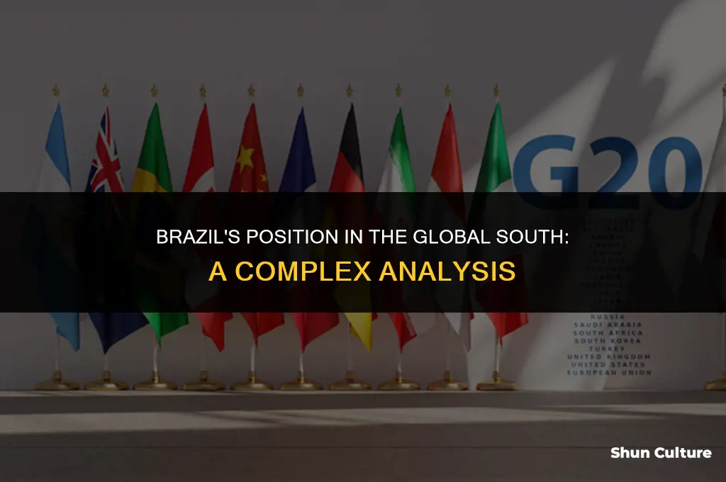 is brazil global south