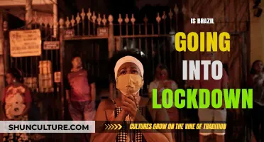 Brazil's Lockdown Looms: What You Need to Know