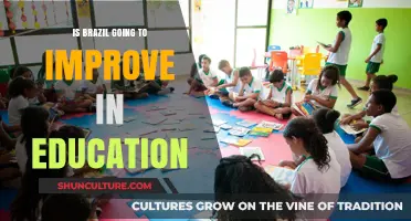 Will Brazil's Education System See Improvement in the Near Future?