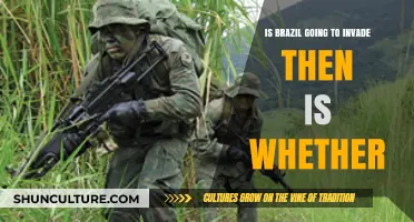 Brazil's Military Posture: Invasion Speculation and Regional Dynamics