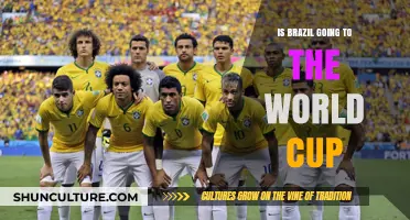 Brazil's World Cup Journey: Will They Make It to Qatar?