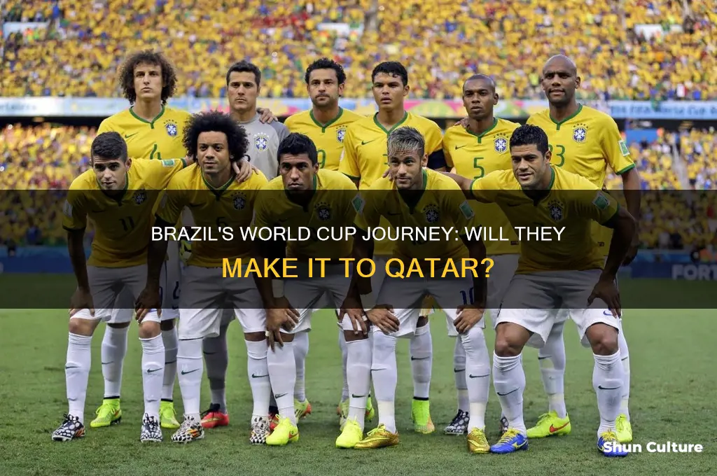 is brazil going to the world cup
