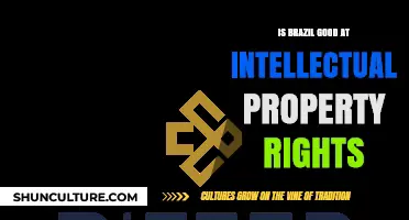 Brazil's Intellectual Property Rights: A Comprehensive Analysis