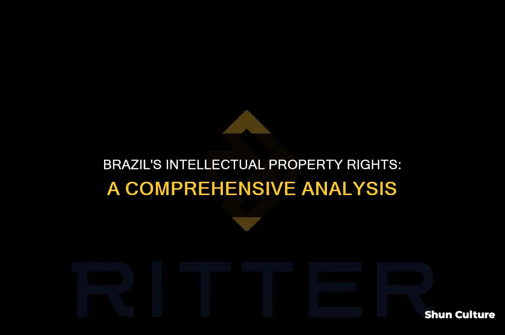 is brazil good at intellectual property rights