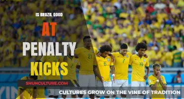 Decoding Brazil's Penalty Kick Prowess: A Statistical Analysis