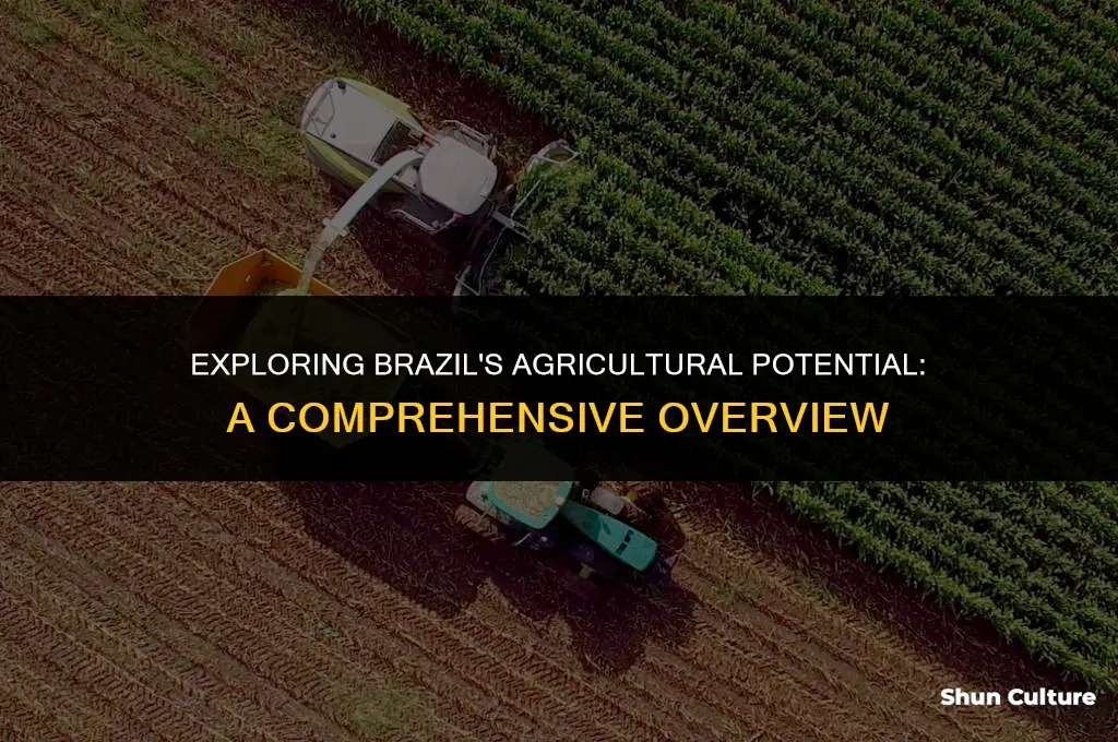 is brazil good for agricu ture