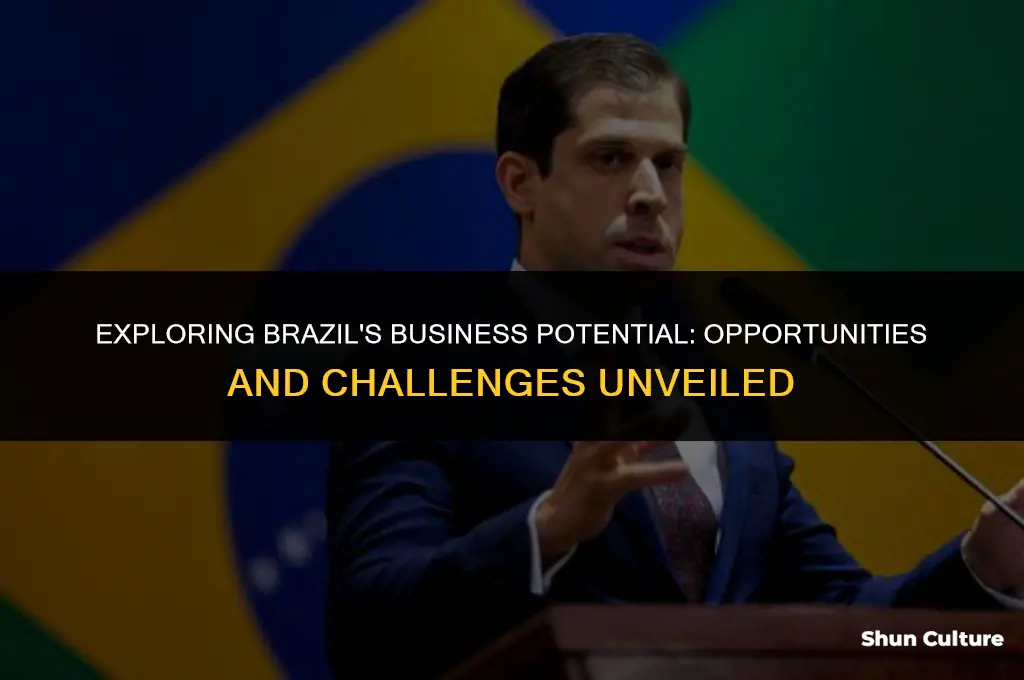 is brazil good for business