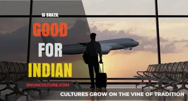 Exploring Brazil: A Cultural and Practical Guide for Indian Travelers