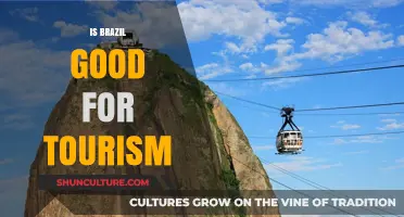 Exploring Brazil: A Tourist's Paradise or Hidden Challenges?