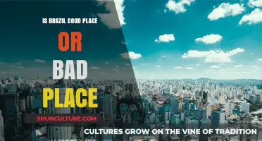 Exploring Brazil: A Balanced View on Its Pros and Cons