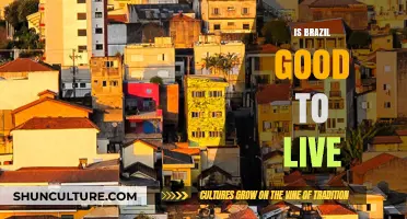 Exploring the Pros and Cons: Is Brazil a Good Place to Live?