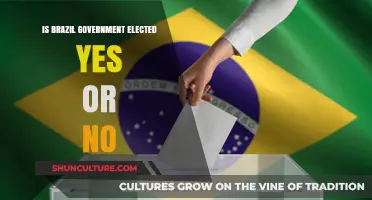 Democracy in Action: Understanding Brazil's Government Election Process