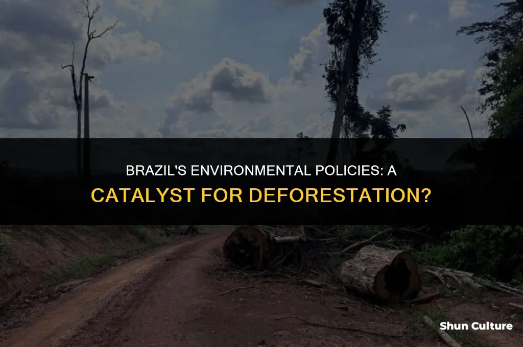 is brazil government promoting deforestation