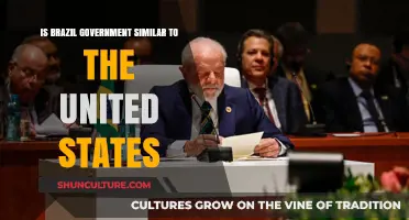 Comparing Brazil and the US: Similarities and Differences in Government