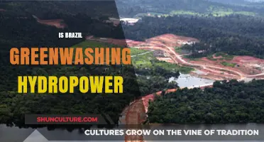 Unveiling the Truth: Is Brazil's Hydropower Expansion a Greenwashing Scheme?