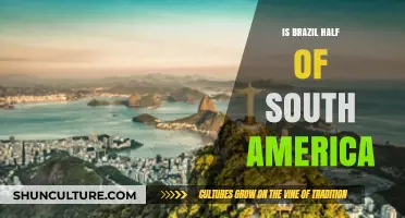 Exploring Brazil's Size: Does It Really Cover Half of South America?