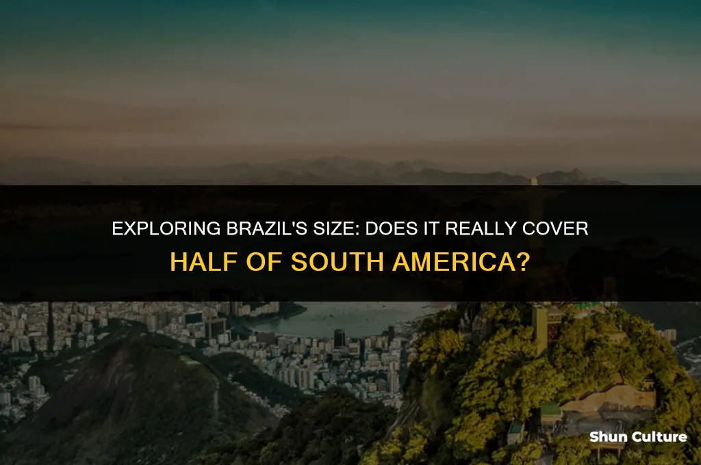 is brazil half of south america