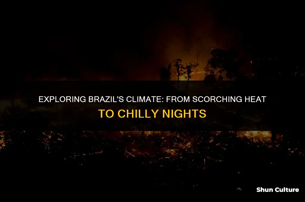 is brazil hat or cold