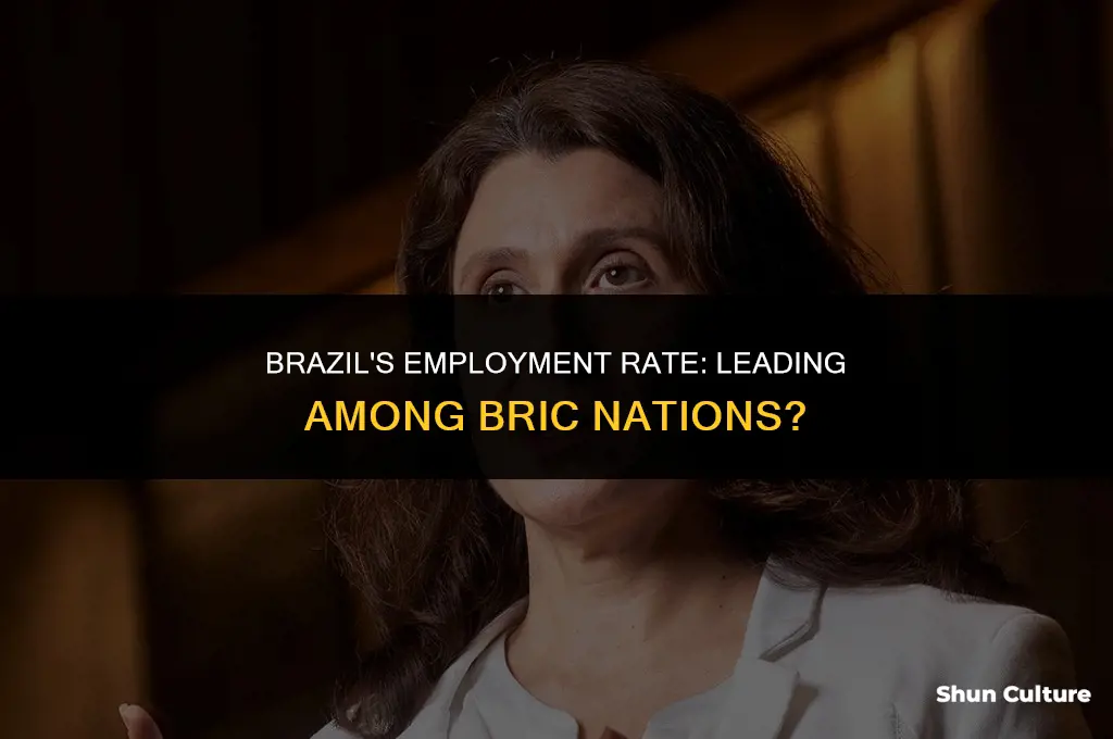 is brazil have the highest employment rate among the bric