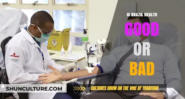Exploring Brazil's Healthcare: A Comprehensive Analysis