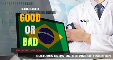 Exploring the Duality of Brazil's Healthcare System: A Comprehensive Analysis