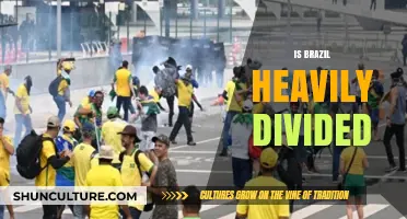 Deep Divisions in Brazil: A Nation Grapples with Polarization