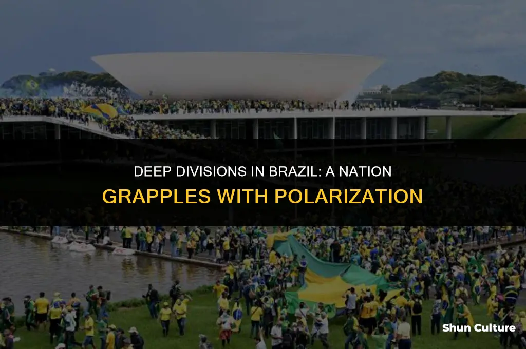 is brazil heavily divided