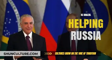 Brazil-Russia Relations: A Complex Web of Cooperation and Controversy