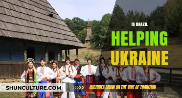 Brazil's Role in the Ukraine Crisis: Aid or Neutrality?